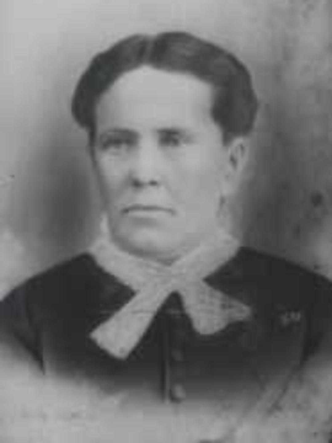 Emily Mitchell (1840 - 1892) Profile